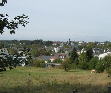Gasthof Napoleon Selbitz Kültér fotó