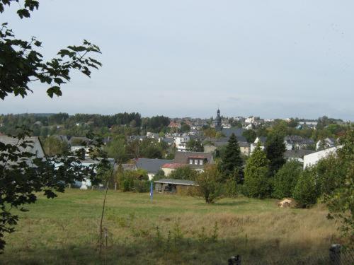 Gasthof Napoleon Selbitz Kültér fotó